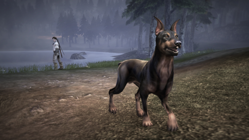Illustration for article titled Lionhead Puts The Poodle in Fable III